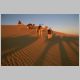 Desert Caravan.jpg